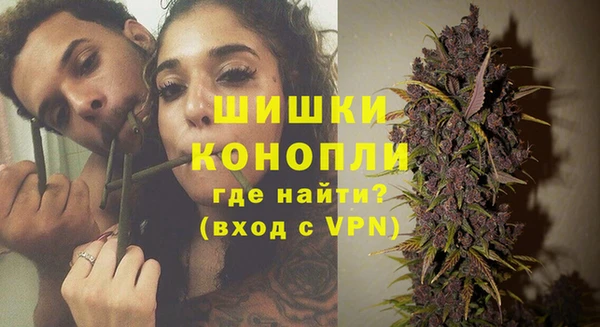 apvp Алзамай