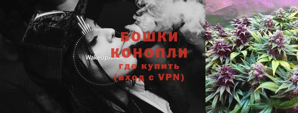 Альфа ПВП Гусев