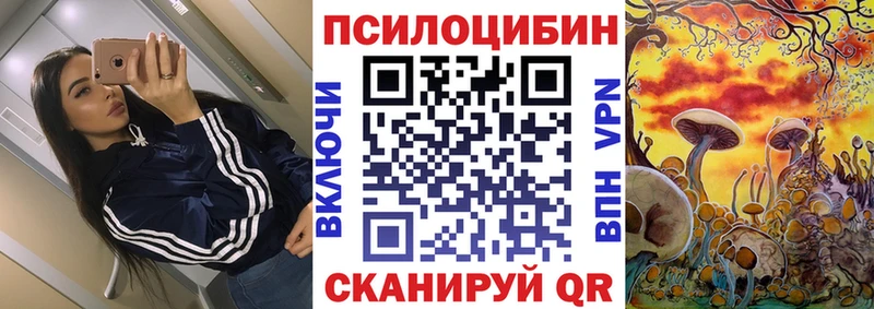 цены наркотик  Котельники  МЕГА ТОР  Псилоцибиновые грибы Psilocybe 